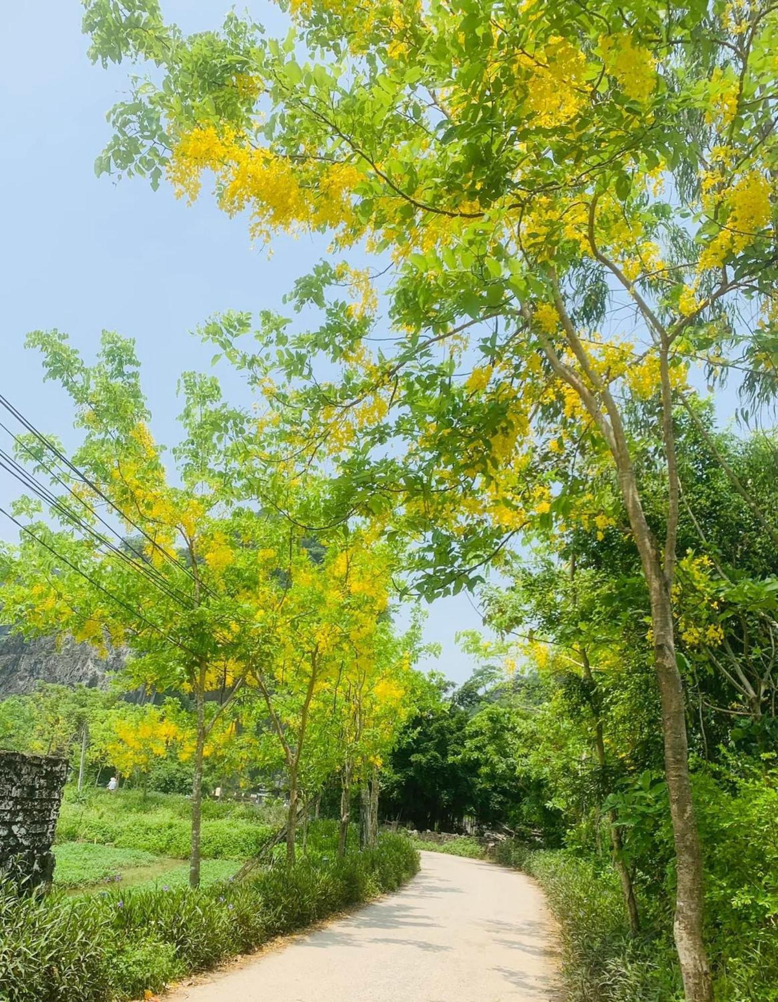 Hotel Tam Coc Min House Vu Lam Exterior foto